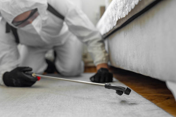 Professional Bed Bug Control technician working in Iberia Parish County, LA